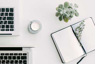 矛盾彻底爆发！张本智和职业博弈“叛逃”德甲藏惊天隐情